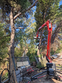 RAGNO Platform basket 18.90 pro NOLO