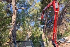 RAGNO Platform basket 18.90 pro NOLO