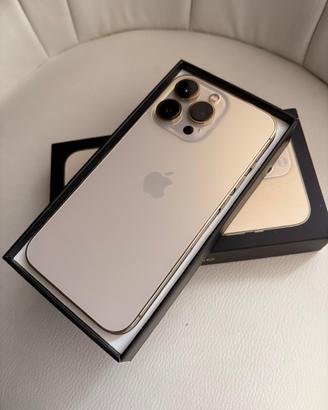iPhone 13pro