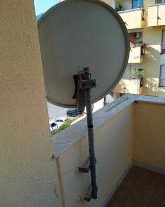 Parabola 60x100 con decoder staffa e telecomando
