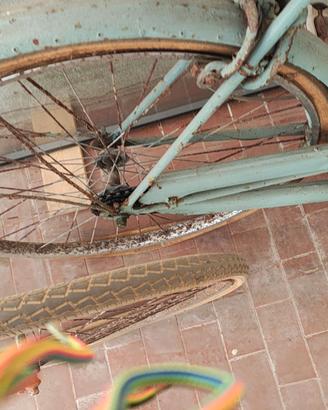 Bicicletta 