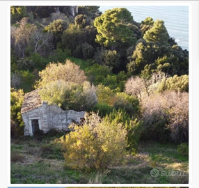 Agrumeto edificabile a due passi dal mare