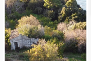 Agrumeto edificabile a due passi dal mare