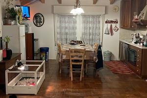 Porzione di casa 2 appartamenti collegati