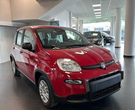 FIAT PANDA 1.0 Hybrid KM 0 2024 Nuova PANDINA