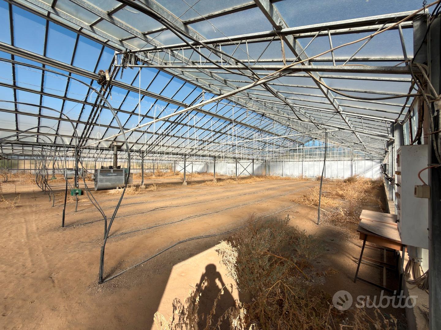 Terreno agricolo con ampia serra e risorsa idrica - Vista 5