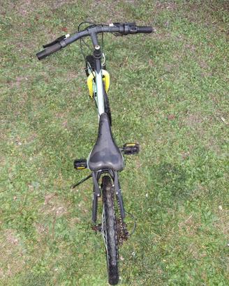 Bici bambino