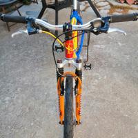 mtb Vilier Triestina 