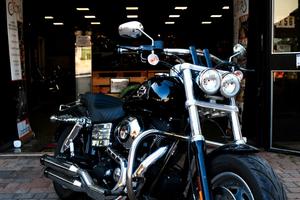 Harley-davidson Dyna Fat Bob