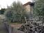 Immagine 3