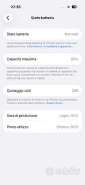 17 pro 