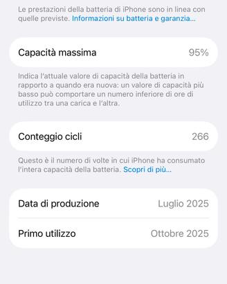 17 pro 
