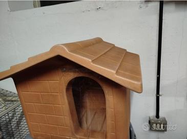 cuccia per cane 