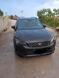 cupra alteca cv300