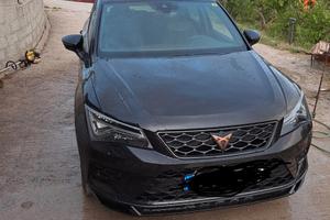 cupra alteca cv300
