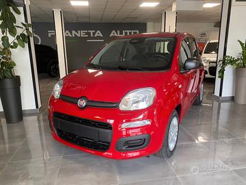 Fiat Panda Pandina 1.0 FireFly 65 CV Hybrid Icon