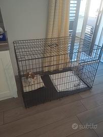 gabbia per animali domestici