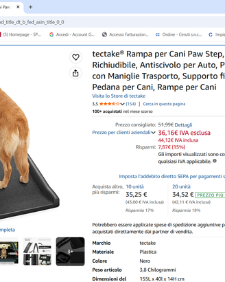 rampa per cani