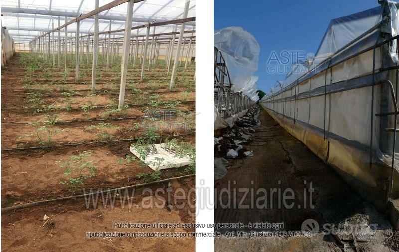 Terreno Agricolo Scicli [A4336418] - Vista 5