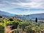Immagine 7