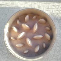 Ciotola Anti-Ingozzamento