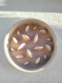 Ciotola Anti-Ingozzamento