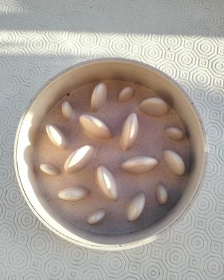 Ciotola Anti-Ingozzamento
