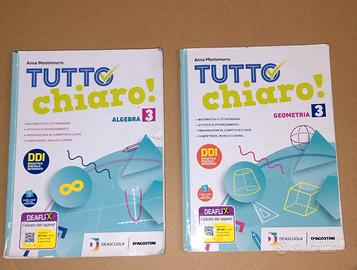 Tutto chiaro geometria e algebra 3 media 