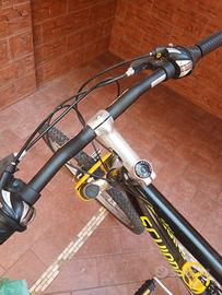 bicicletta uomo 