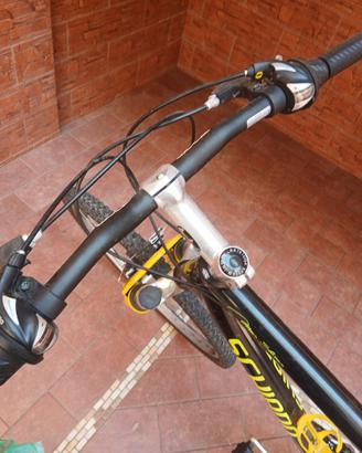 bicicletta uomo 