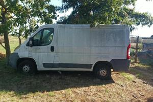 Fiat ducato 2.3 mtj 120cv - usato