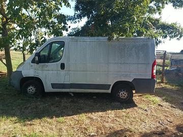 Fiat ducato 2.3 mtj 120cv - usato