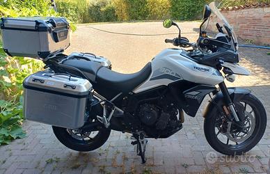 Tiger 900 GT PRO