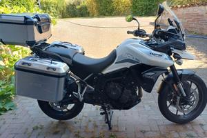 Tiger 900 GT PRO