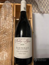 Bottiglie Vini champagne gin