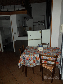 Monolocale luminosissimo nel cuore di alessandria