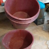 secchioni per vendemia 