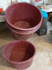 secchioni per vendemia 