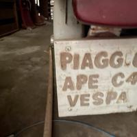 Ape faro basso