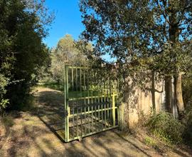 Uta. Immobile agricolo con giardino