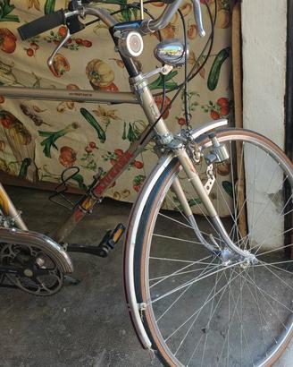 bicicletta sovrana