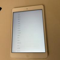 Ipad mini 2