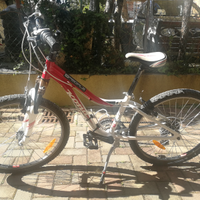 Mtb Kona alluminio ruota 24