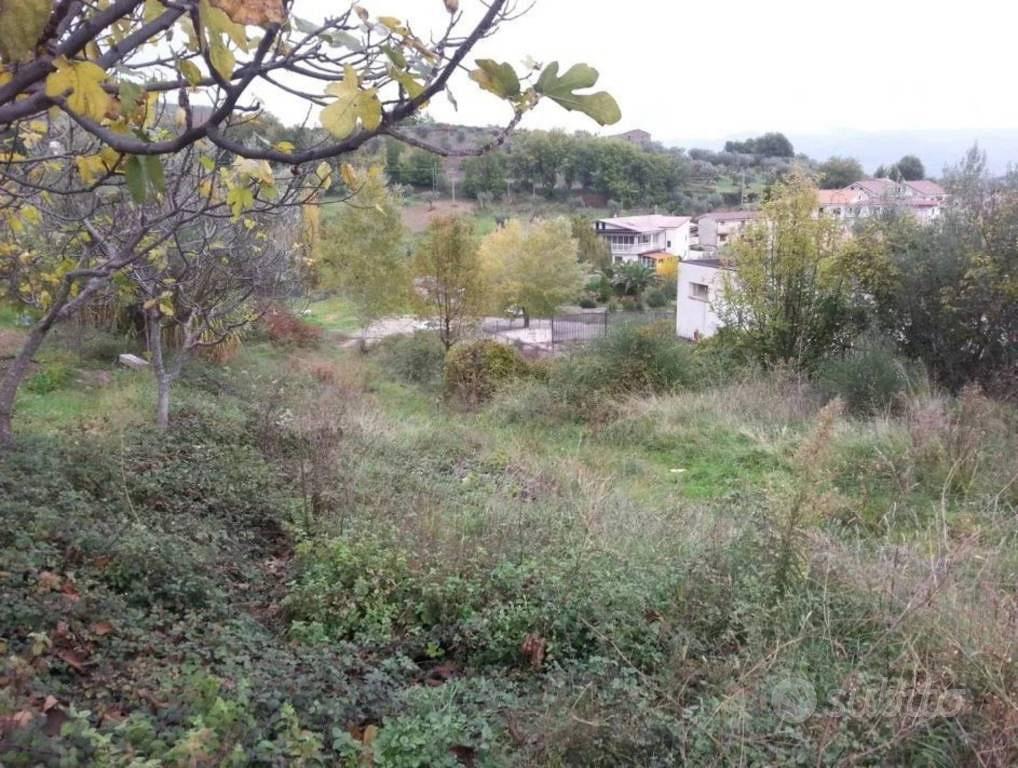 Immobile in asta di 2050 m² a Castrolibero - Vista 3