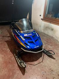 Polaris RMK 700