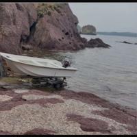 Trimarano 4.60m con motore mercury e carrello