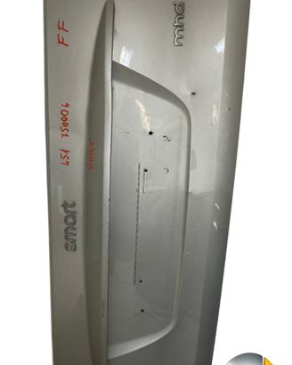 PANNELLO POSTERIORE CENTRALE SMART Fortwo Coupé (