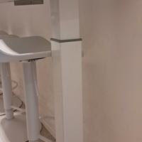 Gamba per penisola bianca