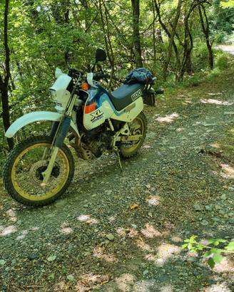 Honda XL 600 LM