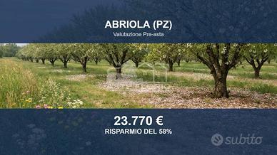 Immobile in asta di 80497 m² a Abriola